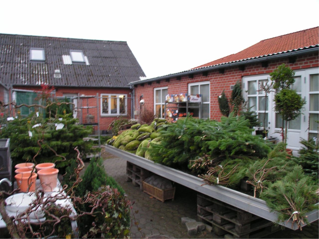 image 02